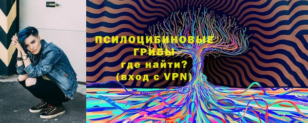 индика Кукмор