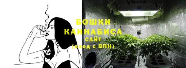 индика Кукмор