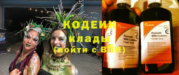 индика Кукмор