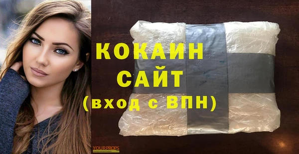 индика Кукмор