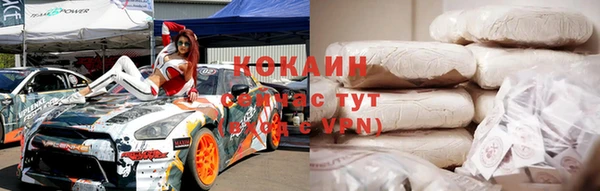 индика Кукмор