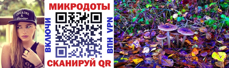 Псилоцибиновые грибы GOLDEN TEACHER kraken зеркало Юхнов где можно купить наркотик